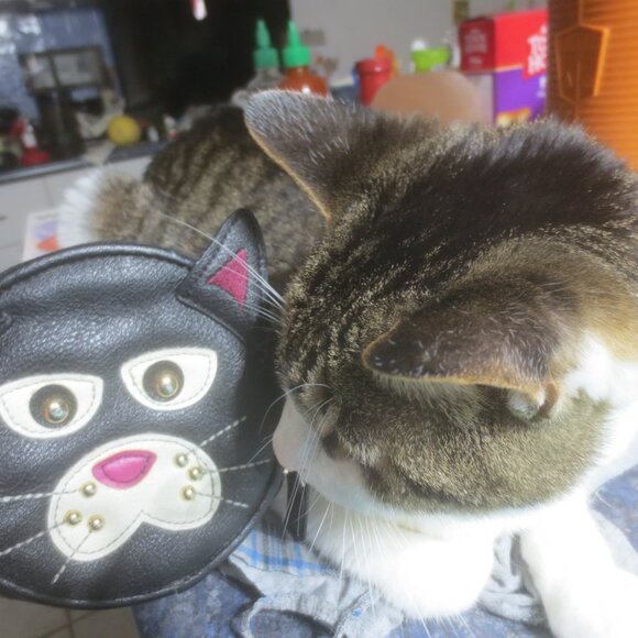 Fun Cute Adorable Black Cat Head Leatherette Coin and Money Purse. - Picture 8 of 10